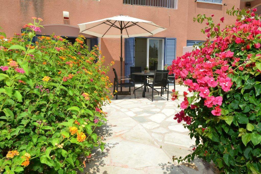 Limnaria Villas Sunny Garden Apartment Paphos Luaran gambar